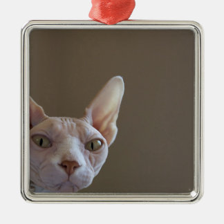 Carré Argenté Ornement de cadre de chat chauve de Sphynx mini