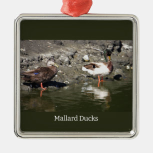 Carré Argenté Ornement Mallard Ducks
