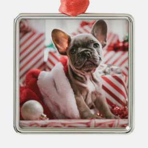Carré Argenté Ornement mignon de Noël de bouledogue français