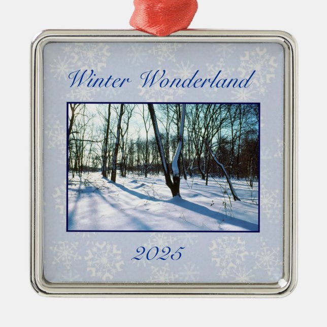 Carré Argenté 'Wonderland d'hiver' Ornement 2025 (Devant)