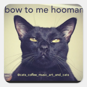 Carré Batcat : arc à moi hooman Sticker