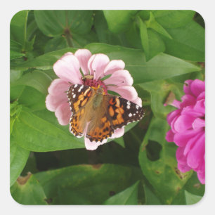 Carré Beau Sticker Papillon