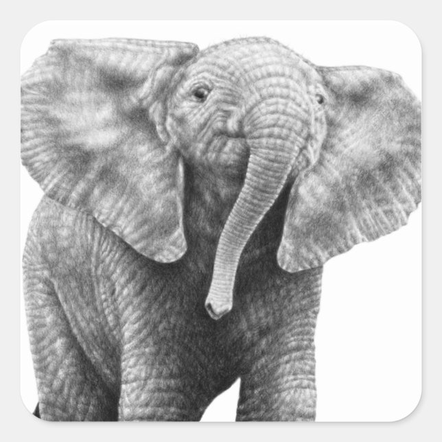 Carré Bébé Eléphant Africain Sticker (Devant)