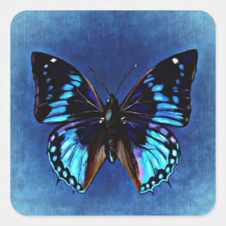 Carré Bleu sur Bleu Sticker Papillon