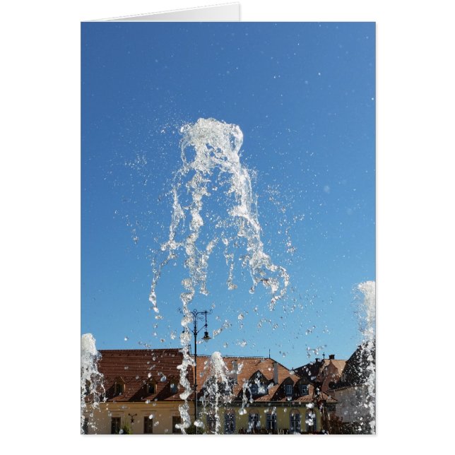 carré central artésien (Devant)