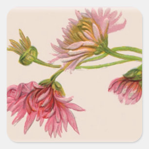 Carré Chrysanthemum - Sticker
