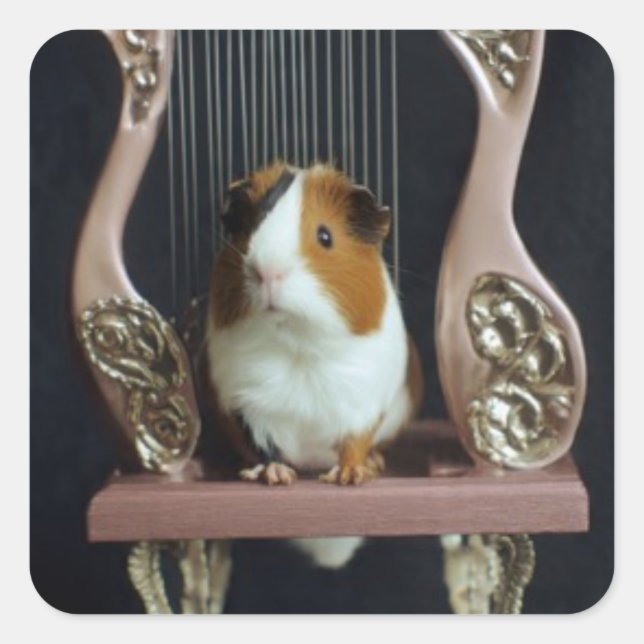 Carré Cute Guinea Pig Harp Sticker (Devant)