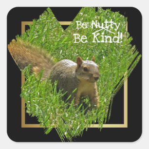 Carré Écureuil Be Nutty Be Kind Sticker
