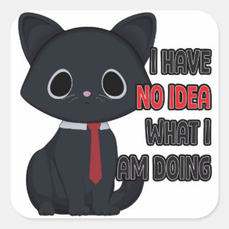 Carré Funny Cat I Have No Idea What I Am Doing Sticker