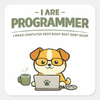 Carré I Are Programmer Funny Classic Round Sticker