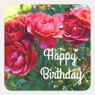 Carré Joyeux Anniversaire Chaud Rose de cacao #3 Sticker