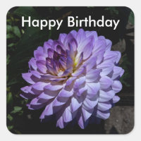 Joyeux Anniversaire Dahlia Bea Paradise #1 Sticker