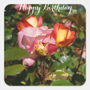 Carré Joyeux anniversaire Rainbow Sorbet Rose #2 Sticker