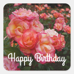 Carré Joyeux anniversaire Rainbow Sorbet Rose #4 Sticker