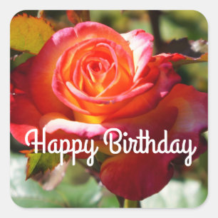 Carré Joyeux Rêve d'anniversaire venez Véritable Sticker