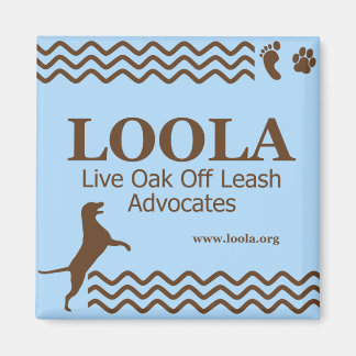 Carré LOOLAorg Magnet métallique