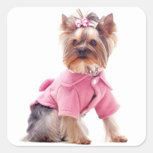 Carré Love Yorkshire Terrier Chien Chien Chien Sticker /