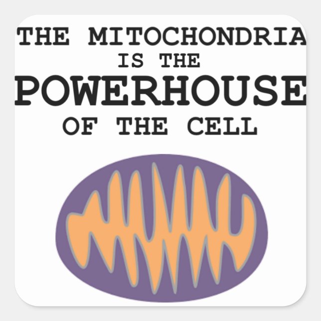Carré Mitochondria est la Powerhouse - Sticker (Devant)