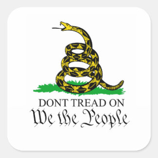 Carré Nous le peuple Gadsden Sticker Drapeau