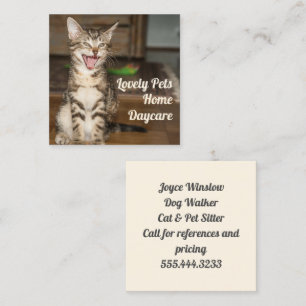 Carré pour animal de chat Kitten Cartes de visite