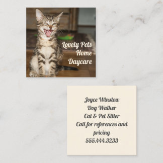 Carré pour animal de chat Kitten Cartes de visite
