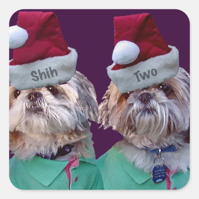 Carré Shih Tzues Shih Two Sticker de Noël (Devant)