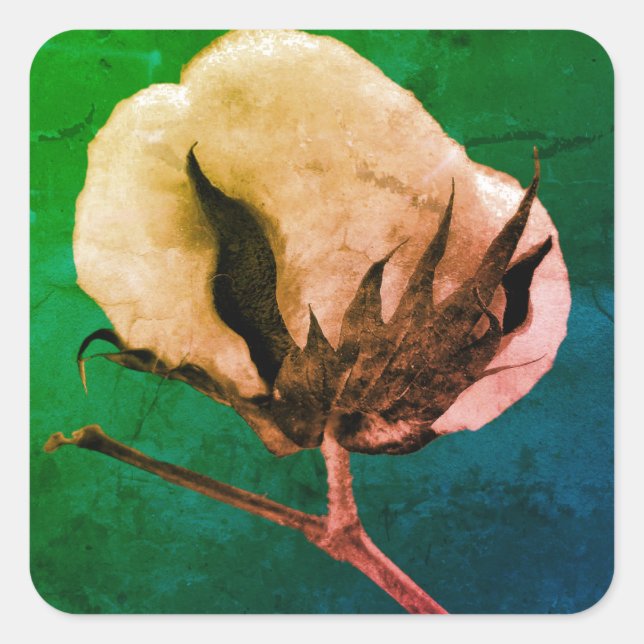 Carré Sticker à poupée de coton (Devant)