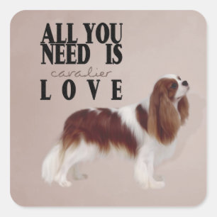 Carré Sticker Cavalier King Charles Spaniel