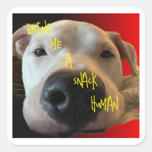 CARRÉ STICKER CHIEN FUNNY