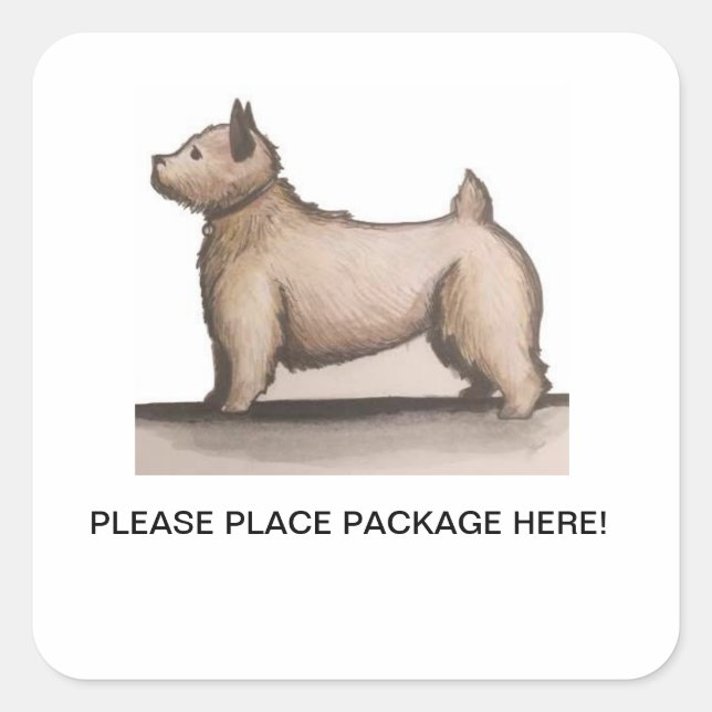 Carré Sticker de dépôt de colis d'inflation d'art (Devant)