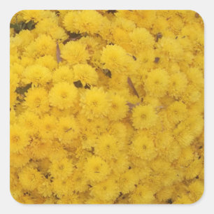 Carré Sticker "FEMMES Jaunes"