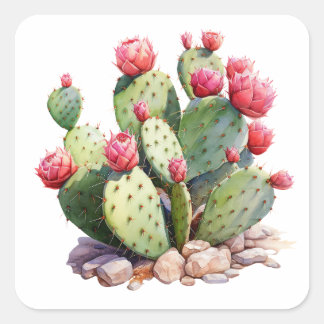 Carré Sticker Jardin Cactus en fleurs - Succulen coloré