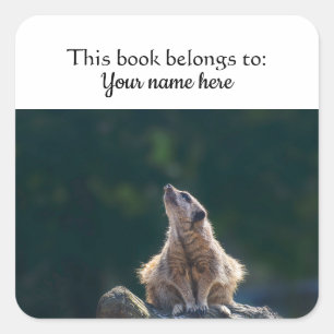Carré sticker Little Meerkat "Ce livre appartient à"