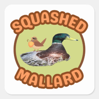 Carré Sticker Mallard Sticker Sticker À Oiseaux Lédés