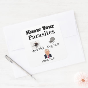 Carré Sticker Parasites