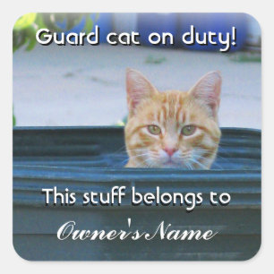 Carré Sticker personnalisé pour enfant—Chat de garde en