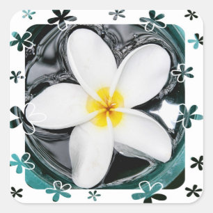 Carré Sticker Plumeria