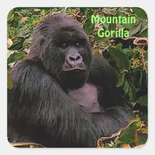 Carré Sticker pour la faune africaine de Mountain Gorill
