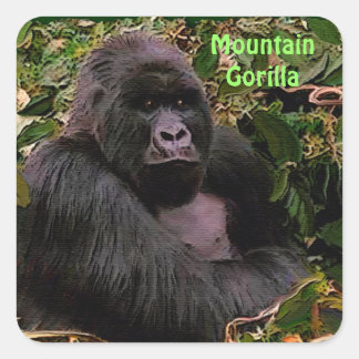 Carré Sticker pour la faune africaine de Mountain Gorill