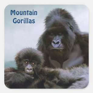 Carré Sticker pour la faune africaine des gorilles de mo