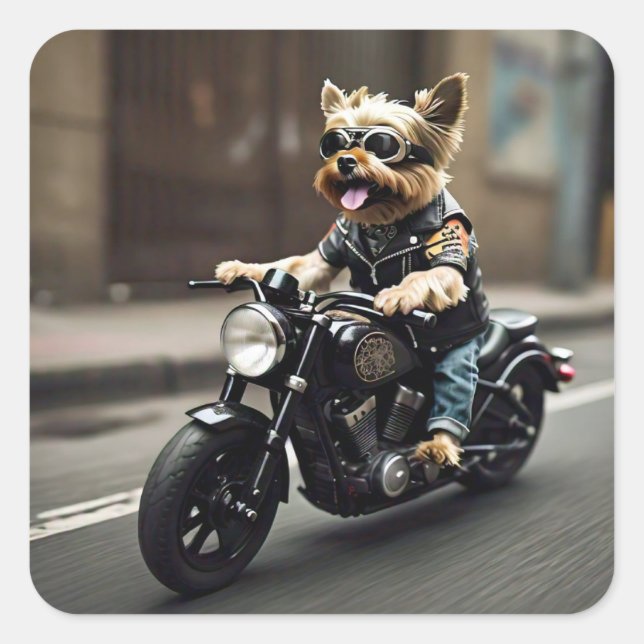 Carré Sticker pour moto Yorkie Riding (Devant)
