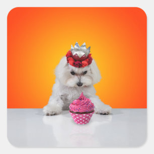 Carré Sticker Pup and Cupcake