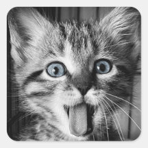 Sticker rond classique Cute Kitten secourt