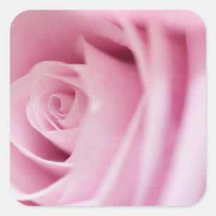 Carré Sticker rose et sceau d'enveloppe