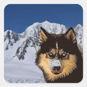 Carré Sticker Sibérien Husky