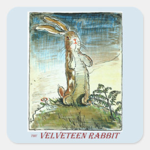 Carré Sticker Velveteen Rabbit