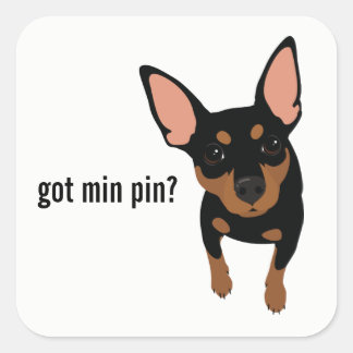 Carré T'As Min Pin ? Sticker à broches miniatures (noir)