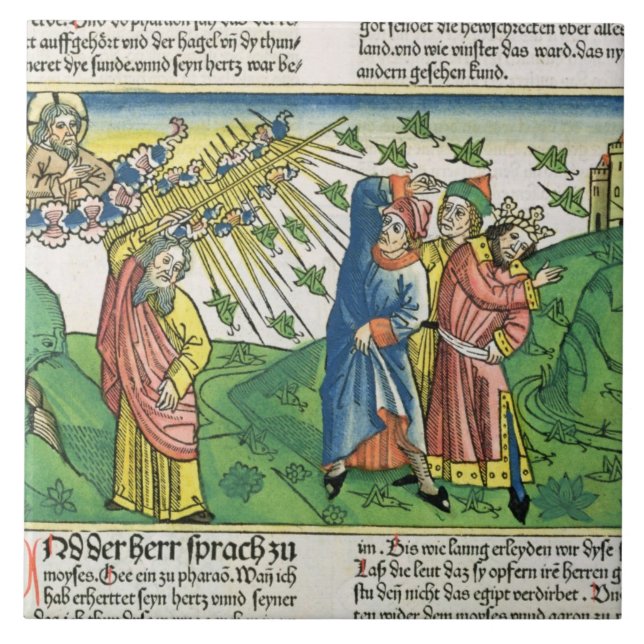 Carreau 10:1 d'exode - 20 les sept pestes de l'Egypte : le (Devant)