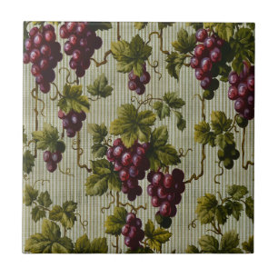 Carreau 1900 Raisins Vintages Fruits Botanique