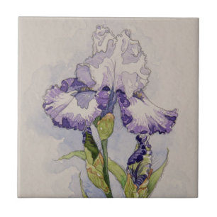 Carreau 5327 Iris violets et blancs